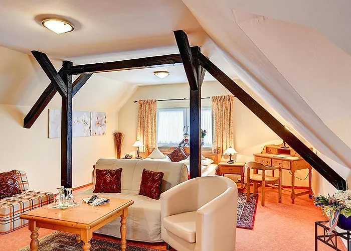 Guest house Stadthotel 3*